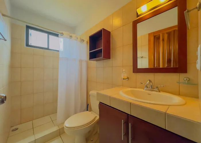 Appartement Turtle #1 Ground Floor Comfort Just Minutes Coco